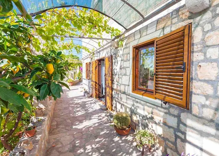 Mary Holiday home