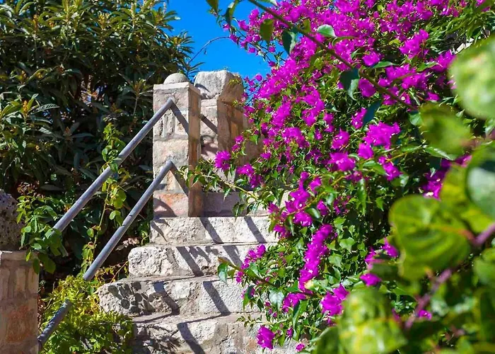 Mary בית נופש